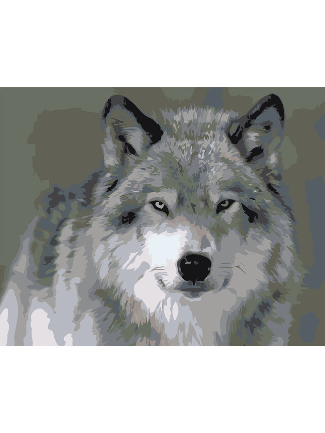 Картина по номерам &amp;quot;Волк&amp;quot;