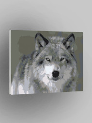 Картина по номерам "Волк"