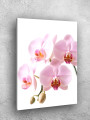 Постер на холсте &amp;quot;Розовые орхидеи на белом фоне&amp;quot;