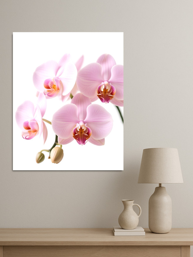 Постер на холсте &amp;quot;Розовые орхидеи на белом фоне&amp;quot;