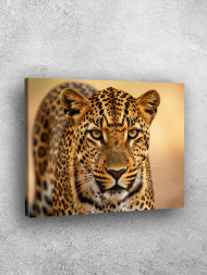 Постер на холсте &amp;quot;Леопард&amp;quot;