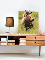 Raqamlar bo'yicha rasm "Bir juft ayiq"