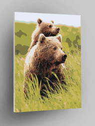 Raqamlar bo'yicha rasm "Bir juft ayiq"