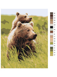 Raqamlar bo'yicha rasm "Bir juft ayiq"