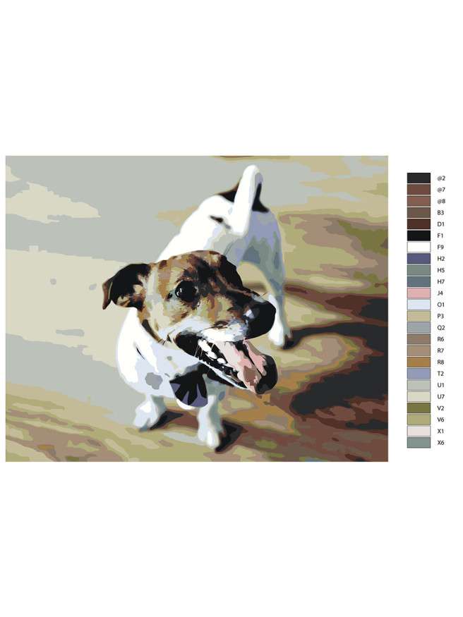 Картина по номерам &amp;quot;Домашняя собака&amp;quot;