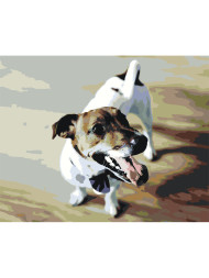 Raqamlar bo'yicha rasm "Uy iti"