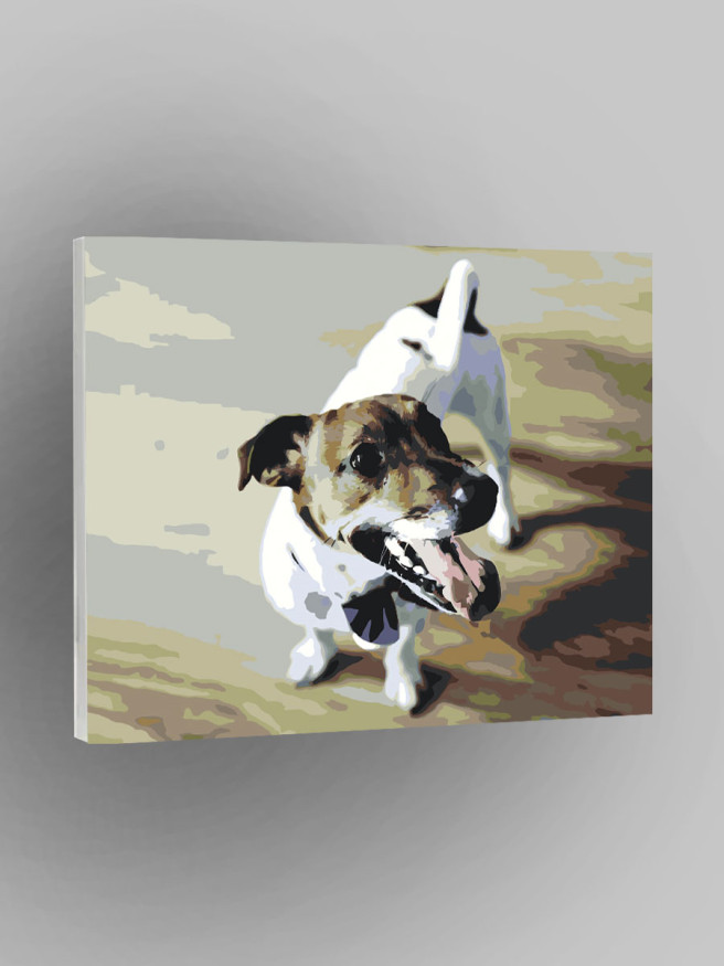 Картина по номерам &amp;quot;Домашняя собака&amp;quot;