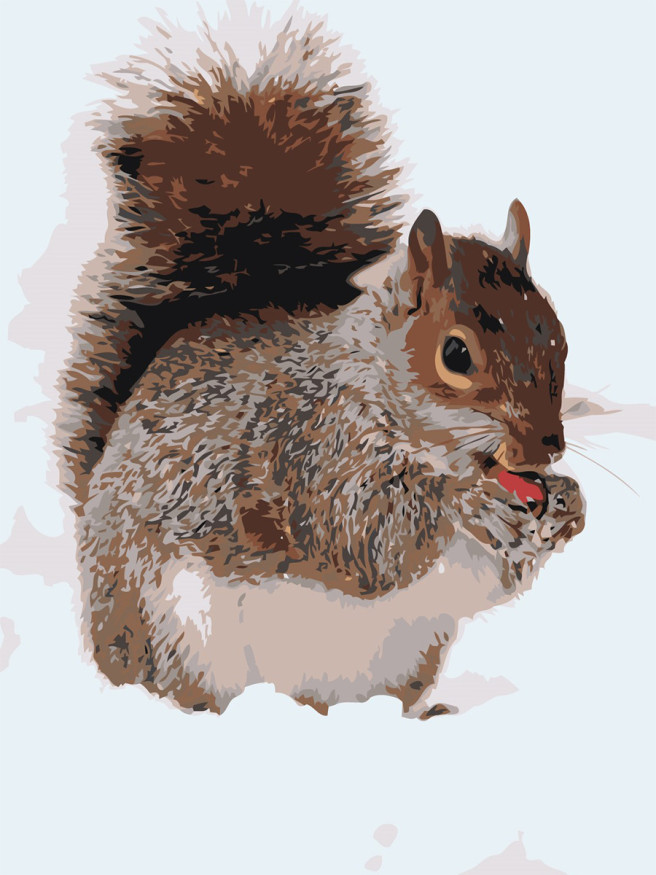 Raqamlar bo&amp;#039;yicha rasm &amp;quot;Yong&amp;#039;oq bilan sincap&amp;quot;