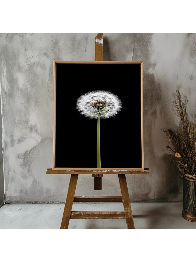 Постер на холсте &amp;quot;Одуванчик на чёрном фоне&amp;quot;