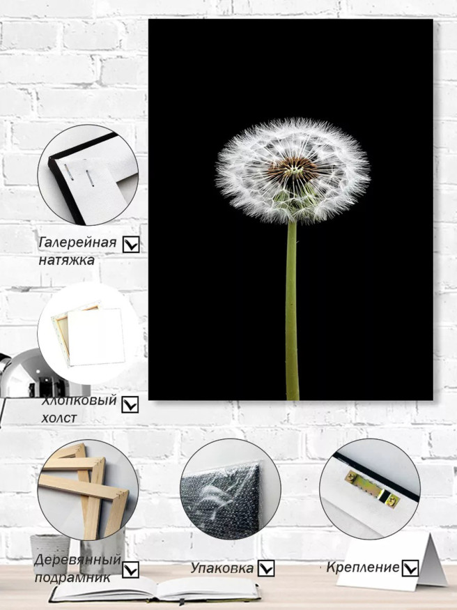 Постер на холсте &amp;quot;Одуванчик на чёрном фоне&amp;quot;