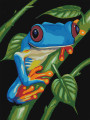 Картина по номерам &amp;quot;Голубая лягушка&amp;quot;