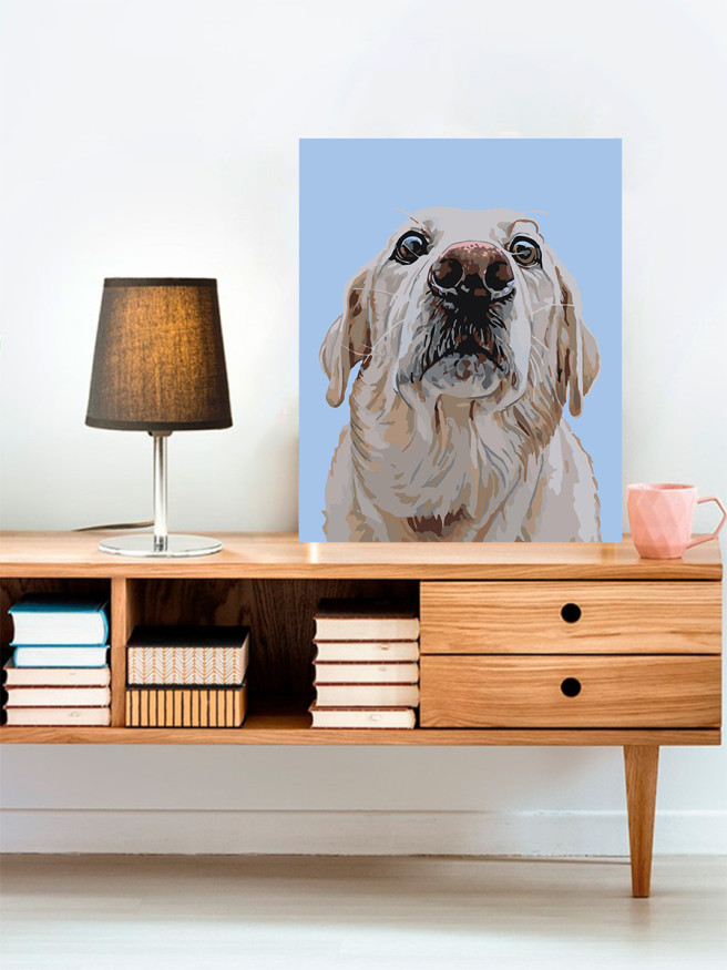 Raqamlar bo&amp;#039;yicha rasm &amp;quot;Retriever&amp;quot;