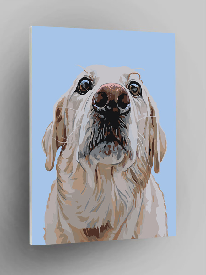 Raqamlar bo&amp;#039;yicha rasm &amp;quot;Retriever&amp;quot;