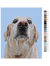 Raqamlar bo&#039;yicha rasm &quot;Retriever&quot;