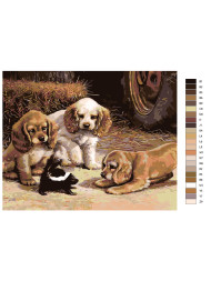 Картина по номерам &amp;quot;Три собаки и енот&amp;quot;