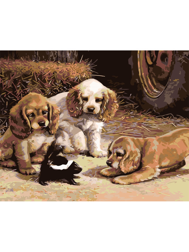 Raqamlar bo&amp;#039;yicha rasm &amp;quot;Uchta it va bir rakun&amp;quot;