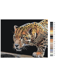 Raqamlar bo&#039;yicha rasm &quot;Leopard ovlash&quot;