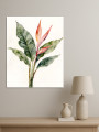 Постер на холсте &amp;quot;Цветок стрелиции с листьями&amp;quot;