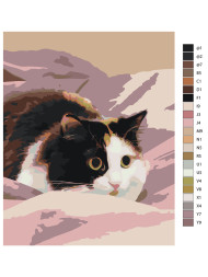 Raqamlar bo&#039;yicha rasm &quot;Qo&#039;rqqan mushuk adyolda&quot;