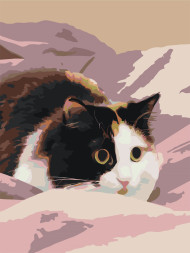 Raqamlar bo&#039;yicha rasm &quot;Qo&#039;rqqan mushuk adyolda&quot;