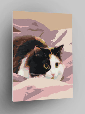 Hayratda qolgan qo‘shni talabani sikdi.