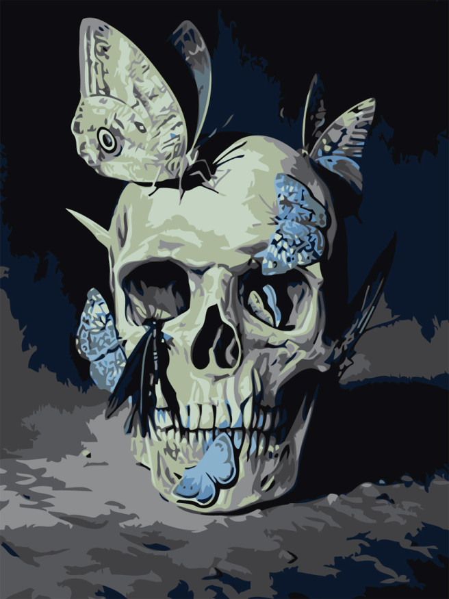 Картина по номерам &amp;quot;Череп и бабочки&amp;quot;