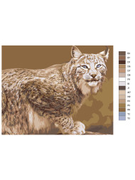 Raqamlar bo&#039;yicha rasm &quot; Lynx&quot;