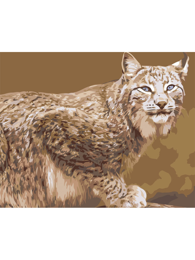 Raqamlar bo&amp;#039;yicha rasm &amp;quot; Lynx&amp;quot;