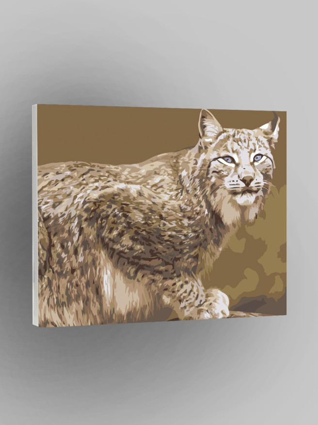 Raqamlar bo&amp;#039;yicha rasm &amp;quot; Lynx&amp;quot;