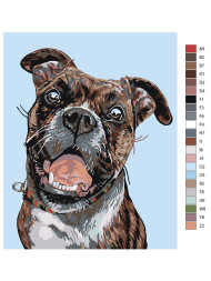 Raqamlar bo'yicha rasm "Uy iti"