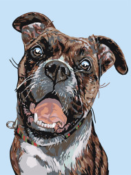 Raqamlar bo'yicha rasm "Uy iti"