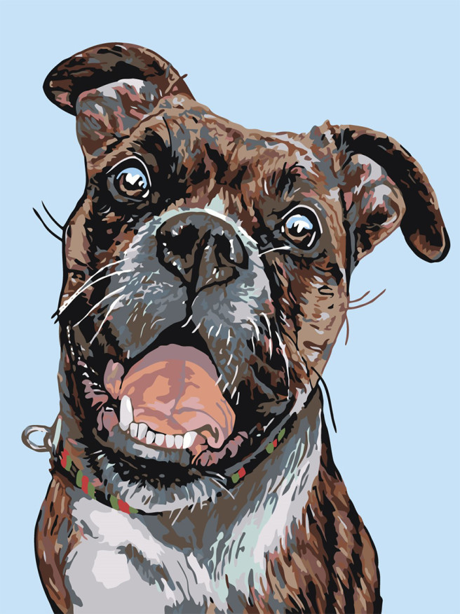 Raqamlar bo&amp;#039;yicha rasm &amp;quot;Uy iti&amp;quot;