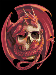 Raqamlar bo&#039;yicha rasm &quot;Ajdaho bilan bosh suyagi&quot;