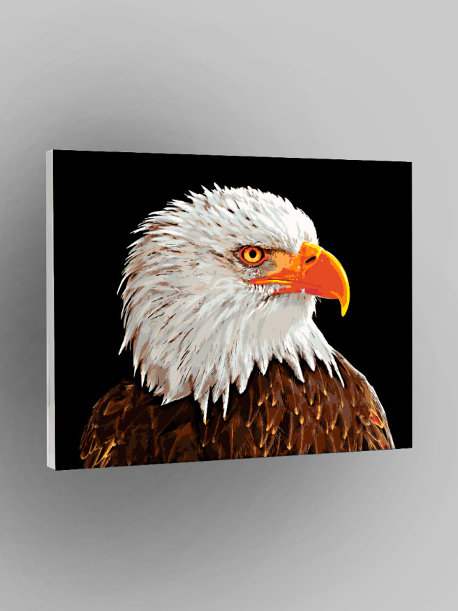 Raqamlar bo&amp;#039;yicha rasm &amp;quot;Oq boshli burgut&amp;quot;