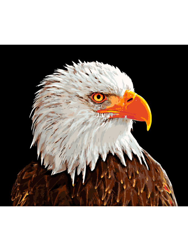 Raqamlar bo&amp;#039;yicha rasm &amp;quot;Oq boshli burgut&amp;quot;