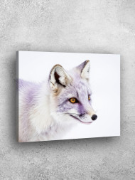 Постер на холсте &amp;quot;Белая полярная лисица&amp;quot;