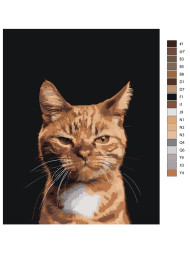 Raqamlar bo&#039;yicha rasm &quot;Charchagan mushuk&quot;