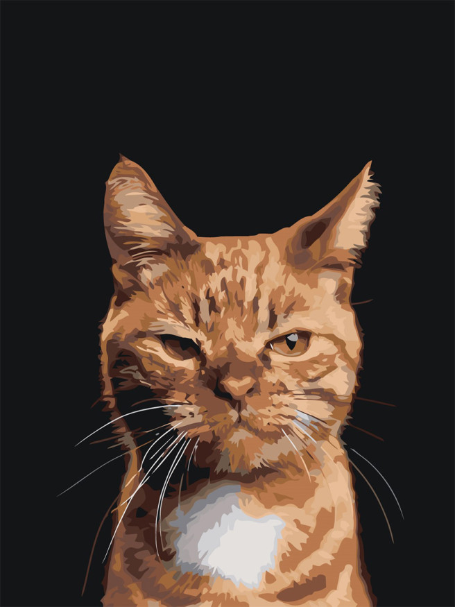 Raqamlar bo&amp;#039;yicha rasm &amp;quot;Charchagan mushuk&amp;quot;