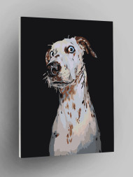 Raqamlar bo&#039;yicha rasm &quot;Hayratda qolgan Dalmatian&quot;