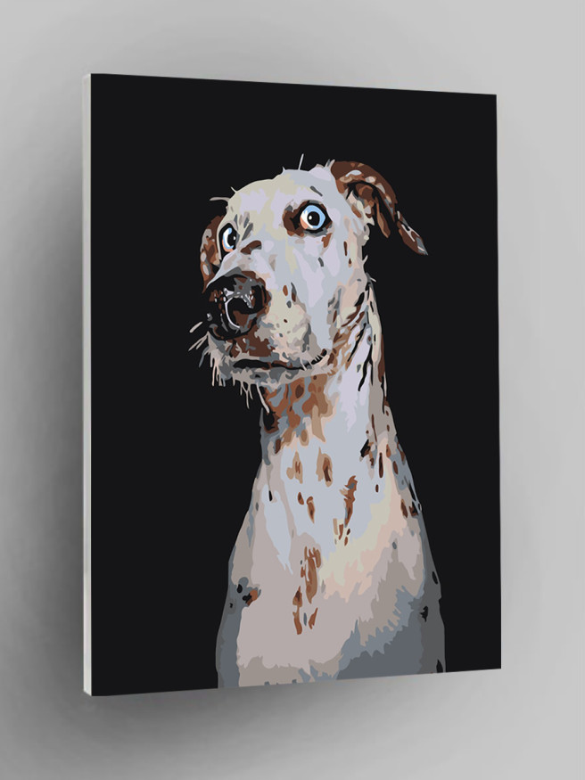 Raqamlar bo&amp;#039;yicha rasm &amp;quot;Hayratda qolgan Dalmatian&amp;quot;