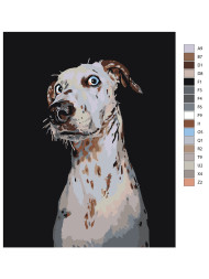 Raqamlar bo&#039;yicha rasm &quot;Hayratda qolgan Dalmatian&quot;