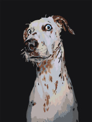 Raqamlar bo&#039;yicha rasm &quot;Hayratda qolgan Dalmatian&quot;