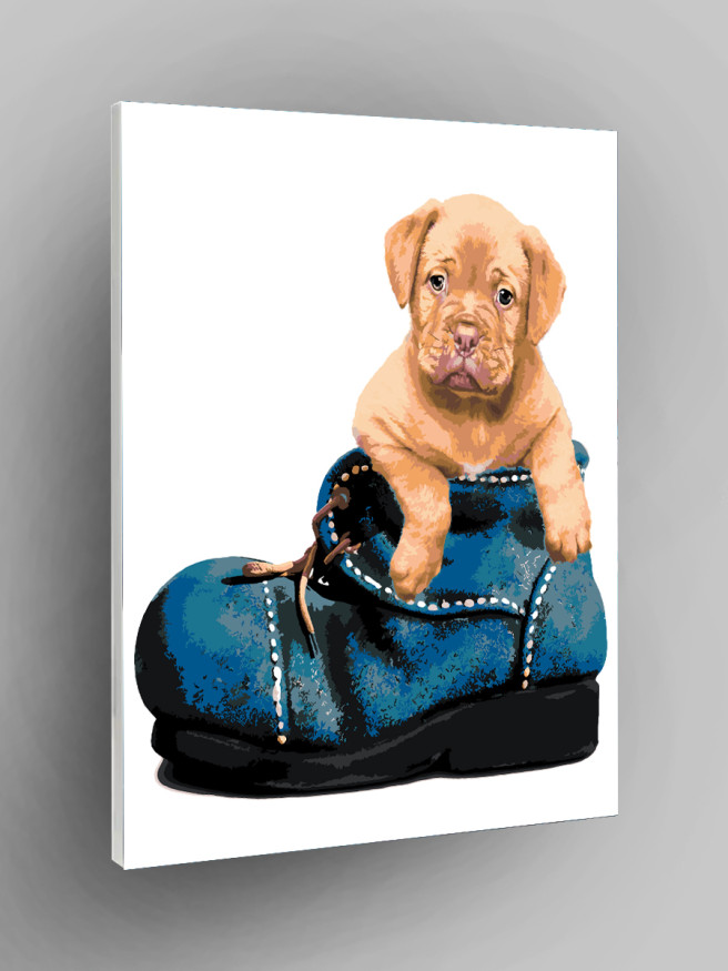 Raqamlar bo&amp;#039;yicha rasm &amp;quot;Oyoq kiyimdagi kuchukcha&amp;quot;