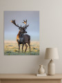 Постер на холсте &amp;quot;Олень на рассвете&amp;quot; 