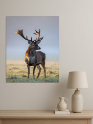 Постер на холсте &amp;quot;Олень на рассвете&amp;quot; 