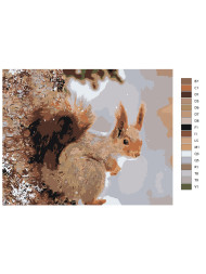 Raqamlar bo'yicha rasm "Sincap"