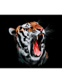Картина по номерам &amp;quot;Рычащий тигр&amp;quot;