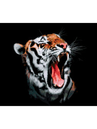 Raqamlar bo'yicha rasm "O'kiriyotgan yo'lbars"