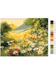 Raqamlar bo'yicha rasm "Moychechak dalasi"