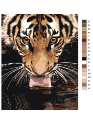 Raqamlar bo&#039;yicha rasm &quot;Yo&#039;lbars sug&#039;orish teshigida&quot;